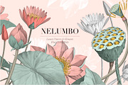 Nelumbo, Luxury Pattern & Motifs