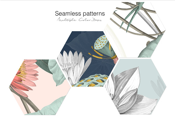 Nelumbo, Luxury Pattern & Motifs in Patterns - product preview 1