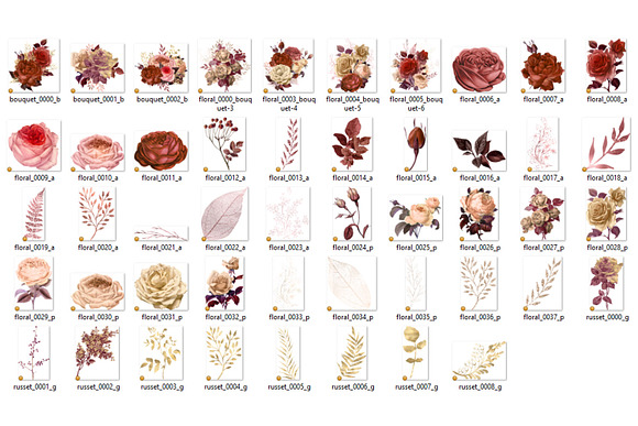 Russet Floral Clipart in Illustrations - product preview 3