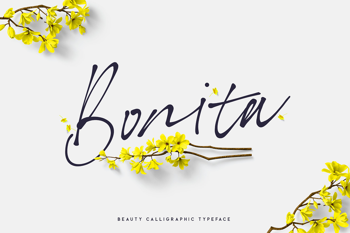 Bonita. Script font family. in Script Fonts - product preview 8