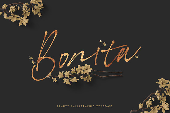 Bonita. Script font family. in Script Fonts - product preview 6