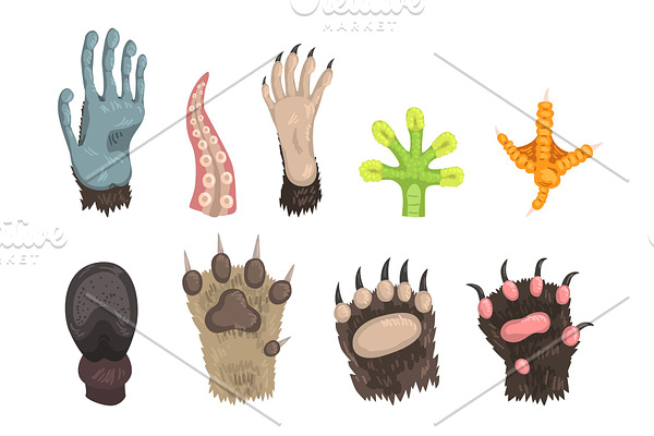 Flat vector set of paws of various