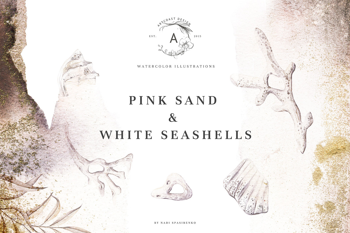 Pink Sand & White Seashells in Illustrations - product preview 8