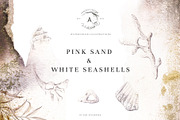 Pink Sand & White Seashells