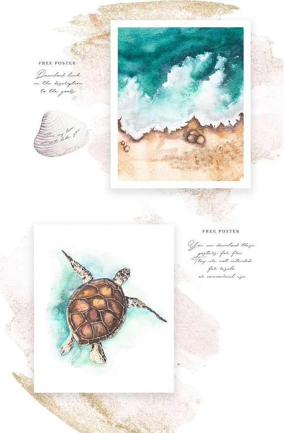 Pink Sand & White Seashells in Illustrations - product preview 4