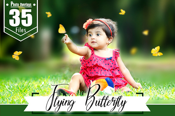 35 Butterfly Photoshop Overlays