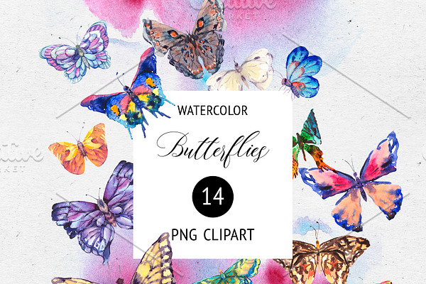Watercolor Summer Butterfly Clipart