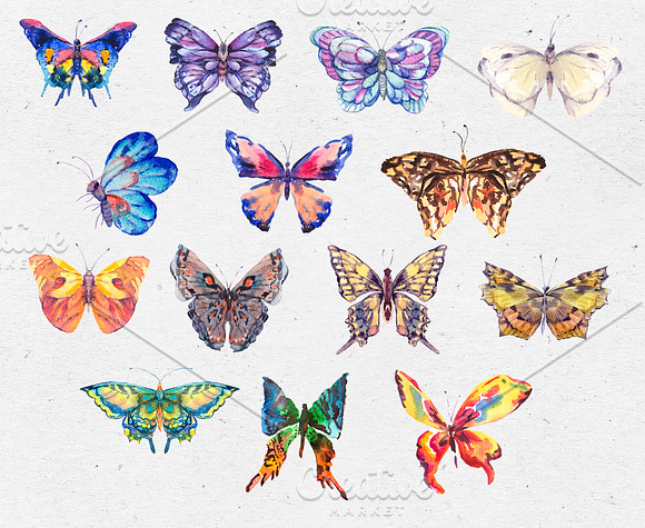Watercolor Summer Butterfly Clipart in Objects - product preview 1