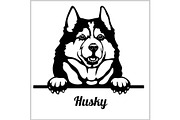 Husky - Peeking Dogs - breed face