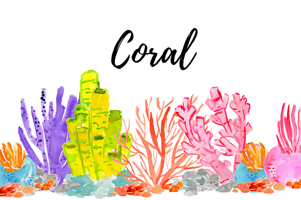 Watercolor Summer Coral Clipart