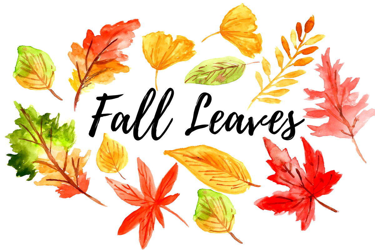 Watercolor Fall leaves clipart in Illustrations - product preview 8