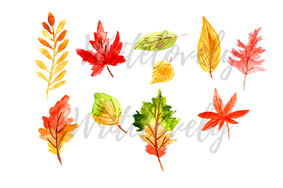 Watercolor Fall leaves clipart in Illustrations - product preview 1