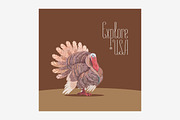 Thanksgiving turkey vector design