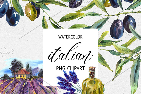 Watercolor Olives Collection