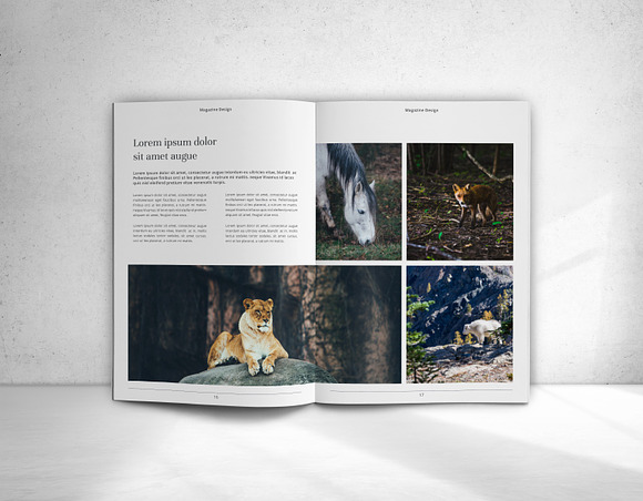 The Magazine in Magazine Templates - product preview 12
