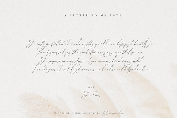 Abiding Love Collection Fonts in Script Fonts - product preview 6