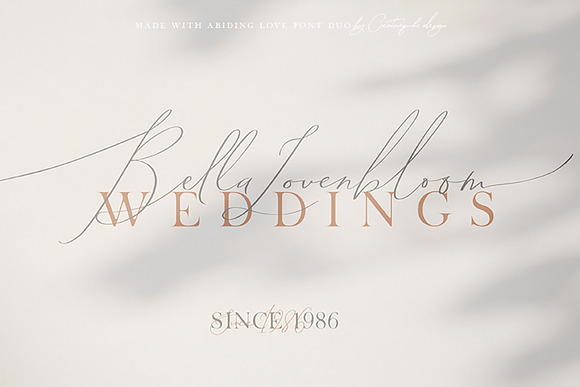 Abiding Love Collection Fonts in Script Fonts - product preview 15
