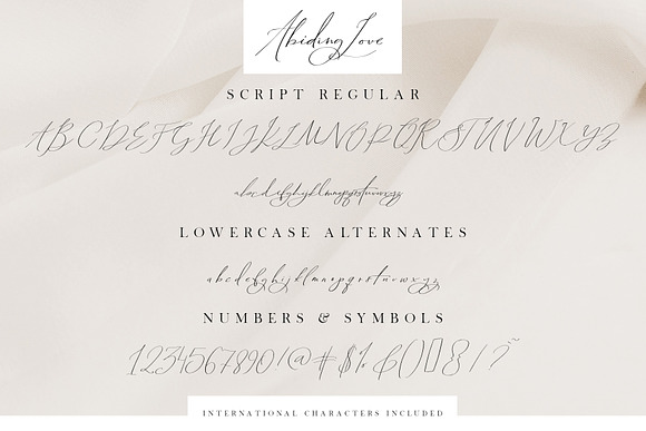 Abiding Love Collection Fonts in Script Fonts - product preview 22