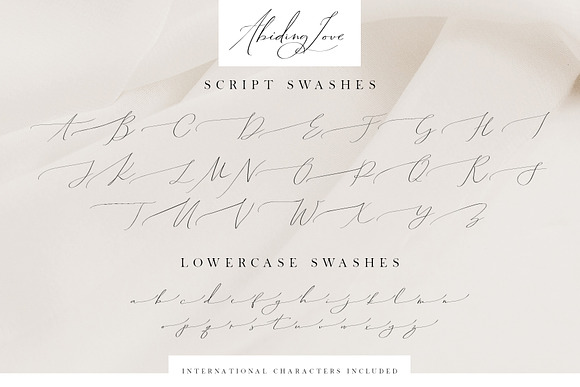 Abiding Love Collection Fonts in Script Fonts - product preview 23