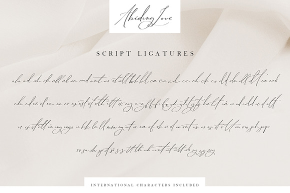 Abiding Love Collection Fonts in Script Fonts - product preview 24