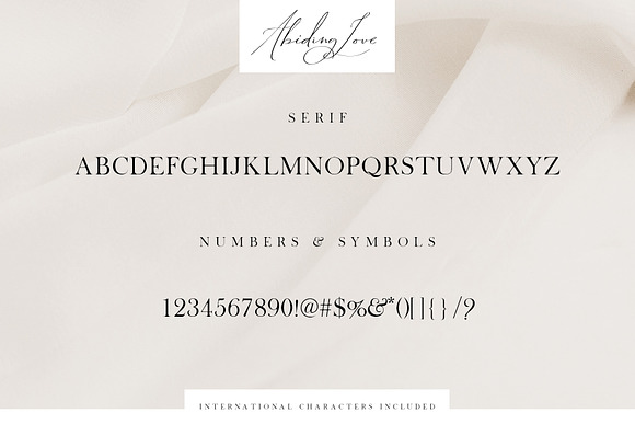 Abiding Love Collection Fonts in Script Fonts - product preview 26