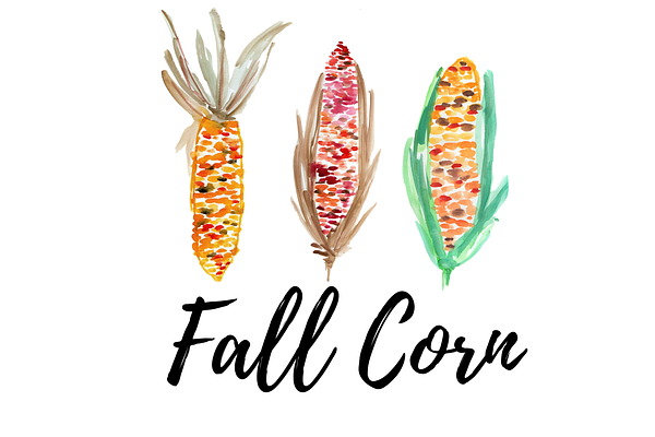 Watercolor fall corn clipart