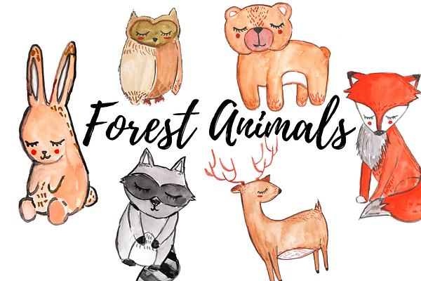 Watercolor Forest Animal Clipart