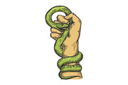 Snake in hand fist color sketch