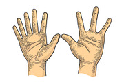 Hands with six and four fingers