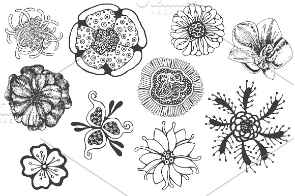 Magic flowers + bonus 6 patterns in Objects - product preview 1
