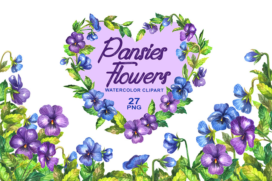 Watercolor pansy flower in Illustrations - product preview 8