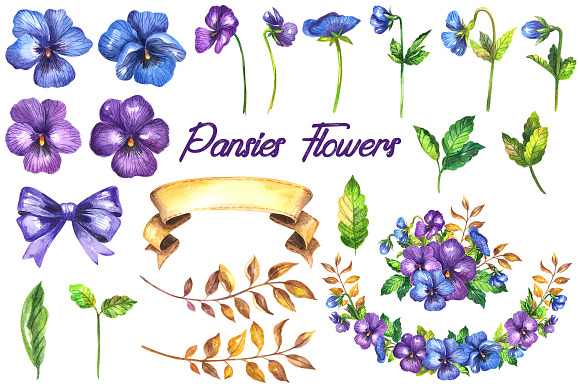 Watercolor pansy flower in Illustrations - product preview 1