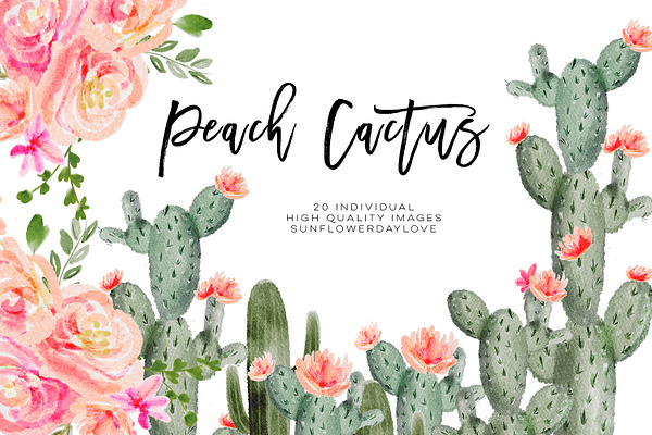 Succulent Peach Watercolor Cliparts