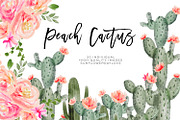 Succulent Peach Watercolor Cliparts