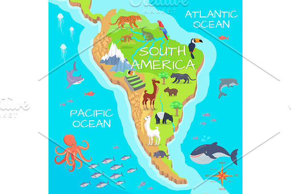 South America Mainland Cartoon Fauna