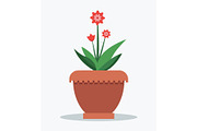 Mandevilla Flower and Leaves Vector
