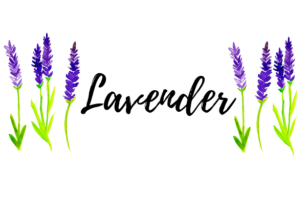 Watercolor Floral lavender clipart