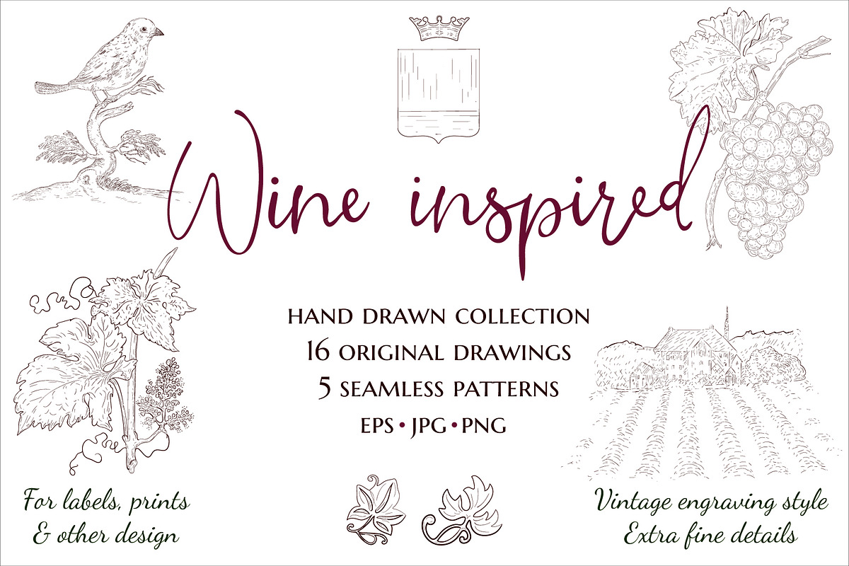 Wine inspired collection. Hand drawn in Illustrations - product preview 8