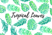 Watercolor tropical leaves clipart