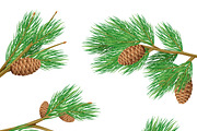 Green pine branches with cones set