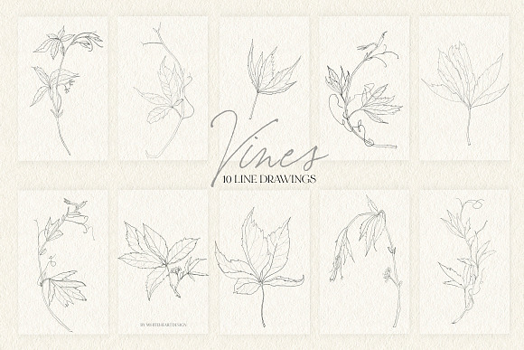 Vines Abstract Watercolor Clipart in Illustrations - product preview 4