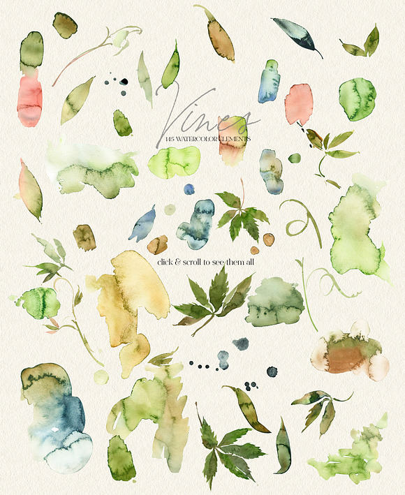 Vines Abstract Watercolor Clipart in Illustrations - product preview 6
