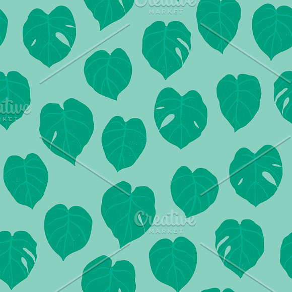 Monstera Leaves in Patterns - product preview 1
