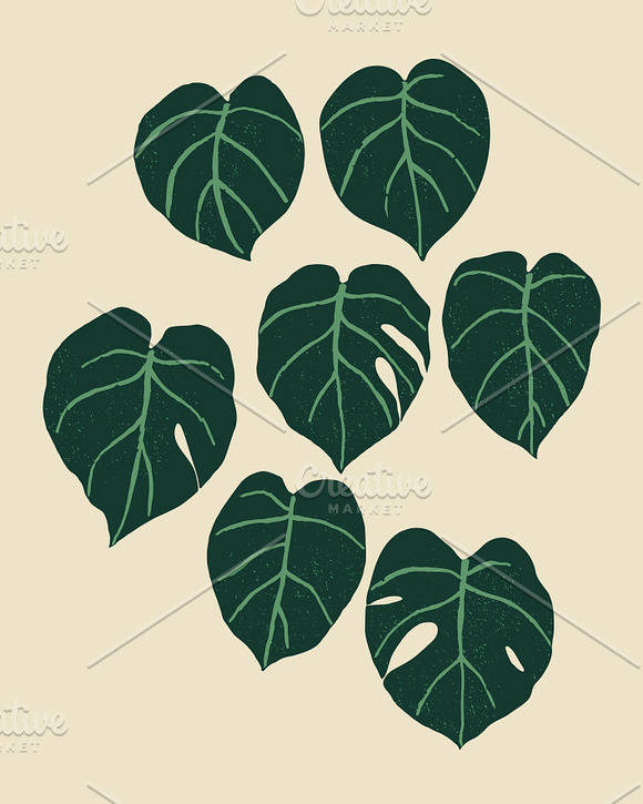 Monstera Leaves in Patterns - product preview 4