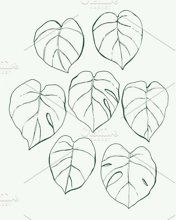 Monstera Leaves in Patterns - product preview 5