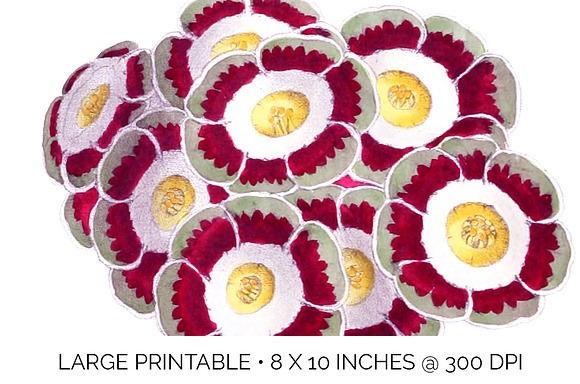 Auriculla Vintage Flower in Illustrations - product preview 5
