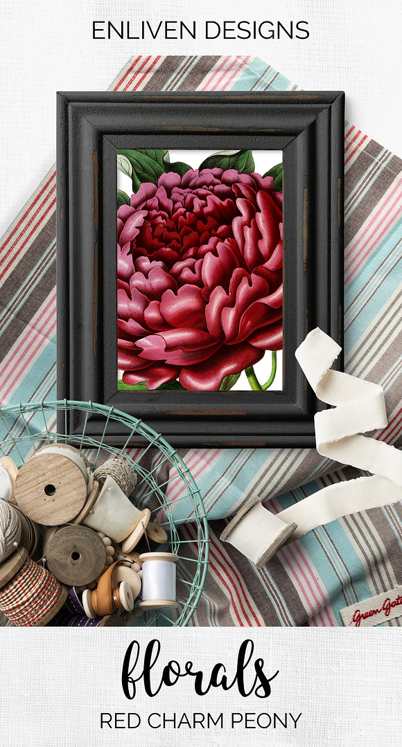 Peony Clipart Red Flowers in Illustrations - product preview 5