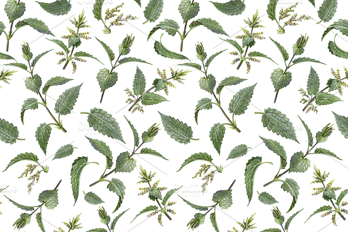 Nettle Pencil Drawing Pattern in Patterns - product preview 8