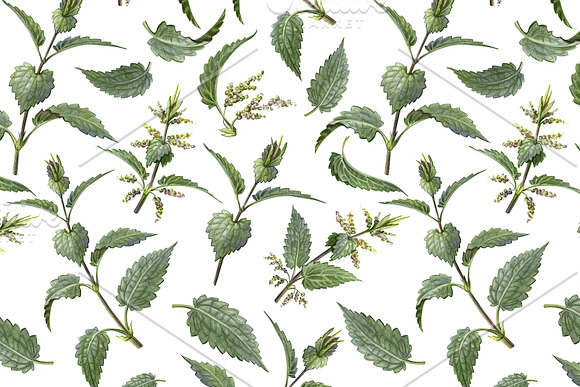 Nettle Pencil Drawing Pattern in Patterns - product preview 1