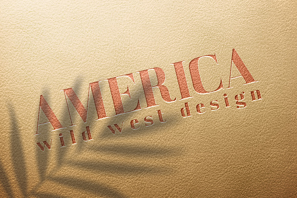 America Serif Font Family in Serif Fonts - product preview 12